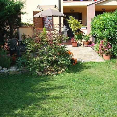 Appartement Casa Grazia à Greve in Chianti Extérieur photo